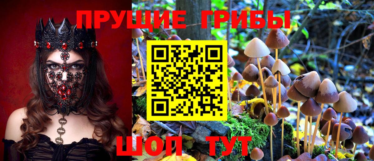 Галлюциногенные грибы прущие грибы Полысаево